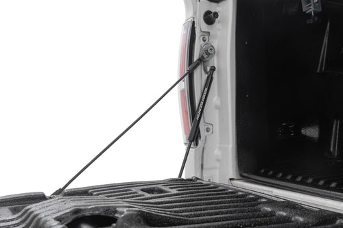 Asistente de Portón Trasero | Ford F-150 2WD/4WD (2004-2014)