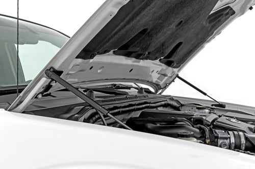 Struts de Cofre | Hidráulico | Nissan Frontier 2WD/4WD (2005-2021)