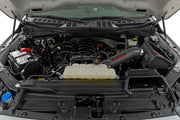 Kit de Admisión de Aire Frío | 5.0L | Ford  F-150 2WD/4WD (2021-2026)