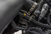 Kit de Admisión de Aire Frío | 5.0L | Ford  F-150 2WD/4WD (2021-2026)