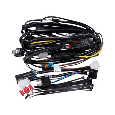 Wiring Loom