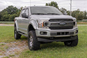 Guardabarros SF1 | UX Ingot Plata Metallic | Ford F-150 2WD/4WD (18-20)