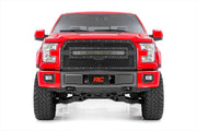 Parrilla de Malla | 30" Dual Row LED | Negro | Ford F-150 2WD/4WD (2015-2017)