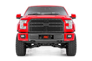 Parrilla de Malla | Ford F-150 2WD/4WD (2015-2017)