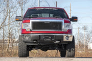 Parrilla de Malla | Ford F-150 2WD/4WD (2009-2014)