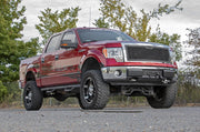 Parrilla de Malla | Ford F-150 2WD/4WD (2009-2014)