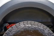 Forros de Guardabarros Traseros | Ford F-150 Raptor 4WD (2021-2026)